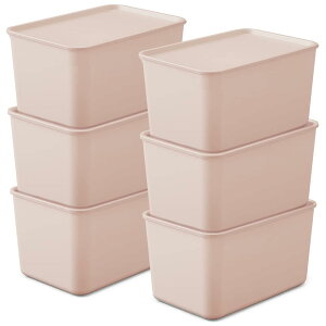 ACXI[} [{bNX ӂt 6Zbg 45×s29×25cm [P[X ӂtςݏdBOX sNx[W [ ߗ  RX  FTB45D