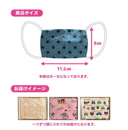 キッズマスク3枚セット【メール便送料無料】