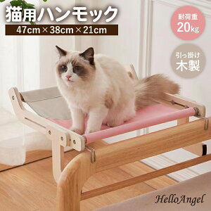 L nbN Lxbh nbNxbh ȃXy[X LnbN Lbgxbh Xebv Lbgxbh CX xbh ؐ ω׏d20kg  o xbh ˂ |