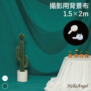 wiz 1.5×2m O[ zCg Bep wiV[g Bepz ʐ^Be wi XN[ ܂肽 obNXN[ n X^WIwi   RpNg Be iBe ʐ^Be XN