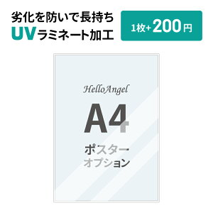 �y�I�v�V�����zUV���~�l�[�g���H A4�T�C�Y���P�i�w���s��