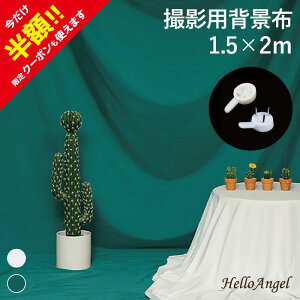 wiz 1.5×2m O[ zCg Bep wiV[g Bepz ʐ^Be wi XN[ ܂肽 obNXN[ n X^WIwi   RpNg Be iBe ʐ^Be XN