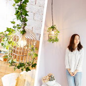 �ڥ����ȥ饤��