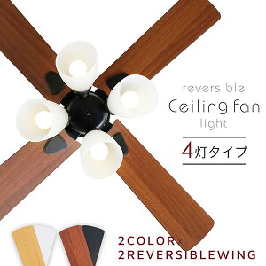 V[Ot@Cg V[OCg V[Ot@ Ɩ 4 LED VƖ t]  GAR Rt _CjO _  ؖڒ Ebh ߖ rO C