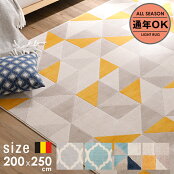 200&times;250cm�������饰