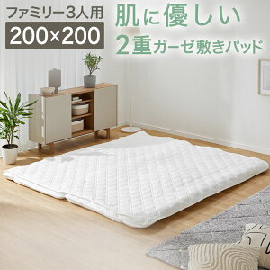 [yVX[p[SALE! 12/4 20:00 - 12/11 1:59] K[[ ~pbh Rbg100%  VRf _uK[[ 炳 Ȃ ɗD ʋC z 唻 h S dK[[ pbhV[c }