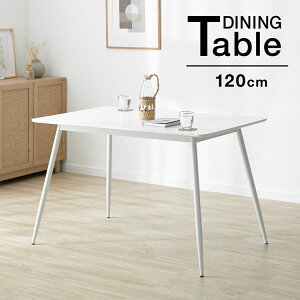 _CjOe[u JtFe[u  e[u 120cm rO zCg Vv H i`  l炵 ؍CeA