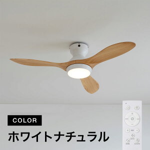 [|Cg10{! 11/9 0:00-11/11 1:59] V[Ot@ V[Ot@Cg Cg V[OCg Ɩ t@ VR ؐ ؖ Ebh LED VƖ Ɩ ȃGl  GAR R