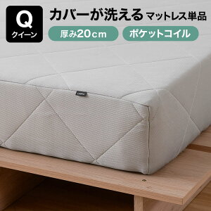 [N[|zz! 11/1 0:00-11/7 9:59] }bgX 􂦂Jo[ }bgXPi VO Z~_u _u NC[  20cm d |PbgRC Q