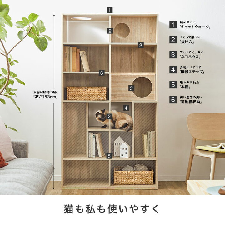 楽天市場】キャットウォーク 猫 家具 本棚 おしゃれ 収納棚 木製 幅 