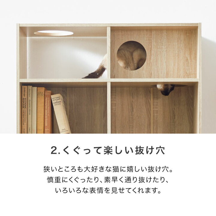 楽天市場】[枚数限定クーポン配布中! 7/1 0:00-7/3 23:59] キャット 