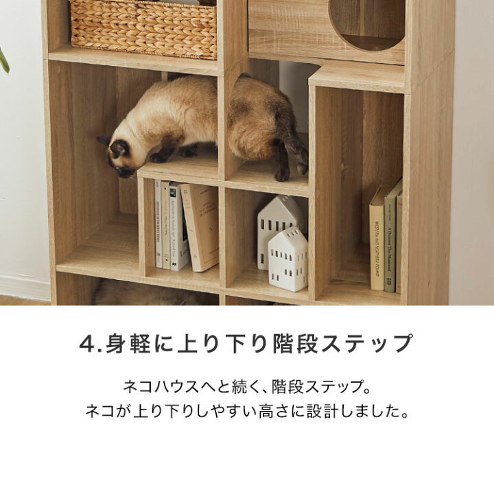 楽天市場】キャットウォーク 猫 家具 本棚 おしゃれ 収納棚 木製 幅 