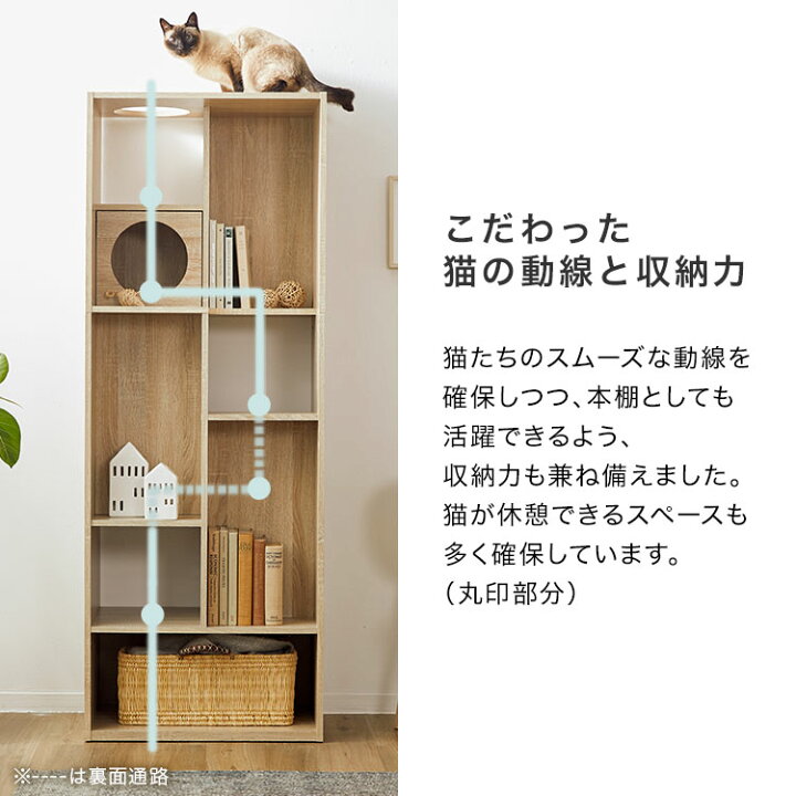 楽天市場】キャットウォーク 猫 本棚 おしゃれ 収納棚 木製 幅60cm 