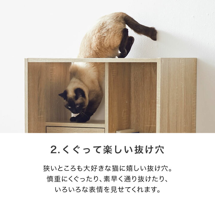 楽天市場】キャットウォーク 猫 本棚 おしゃれ 収納棚 木製 幅60cm 