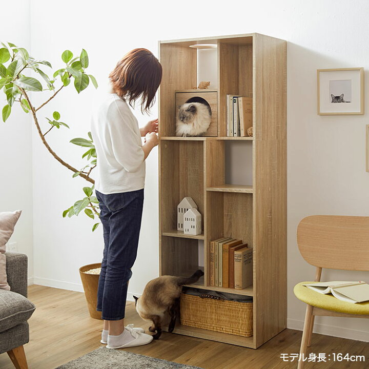 楽天市場】キャットウォーク 猫 本棚 おしゃれ 収納棚 木製 幅60cm 