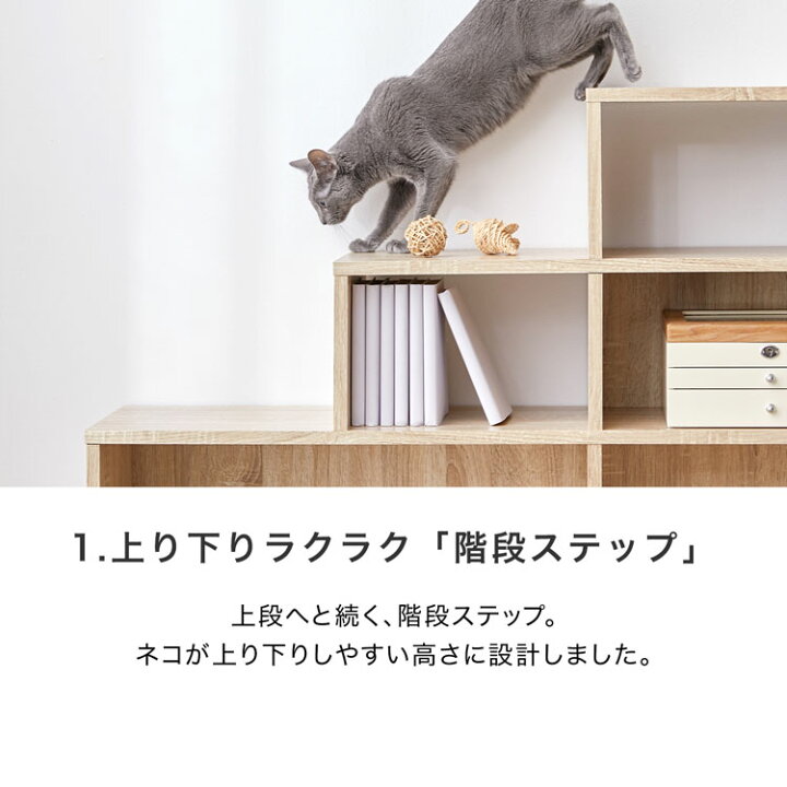 楽天市場】キャットウォーク キャットタワー 棚 壁 収納 猫 家具 木製 
