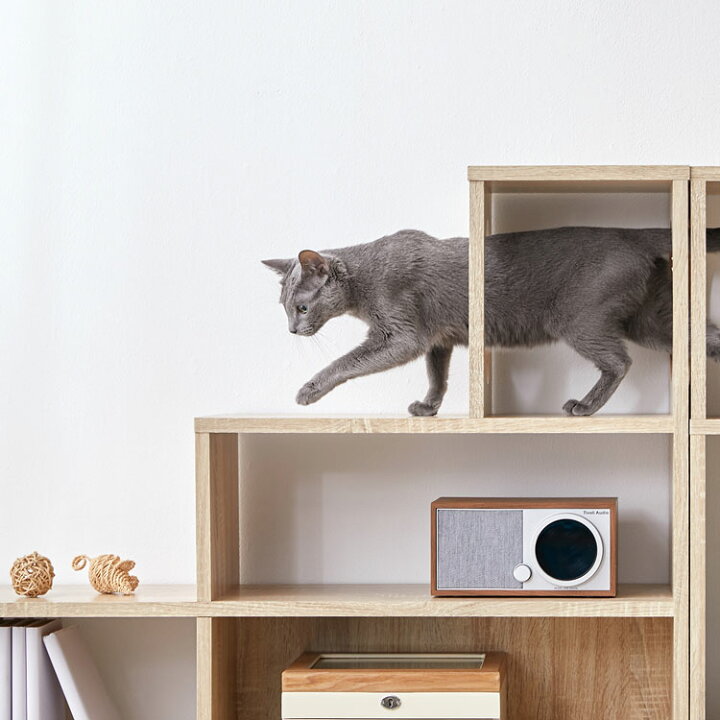楽天市場 キャットウォーク 猫 家具 木製 猫タワー オープンラック 階段 ステアーズ キャットハウス 棚 シェルフ おしゃれ 収納 本棚 壁面収納 収納棚 リビング収納 ディスプレイラック スリム 省スペース 木目調 ナチュラル Lowya ロウヤ 楽天市場店