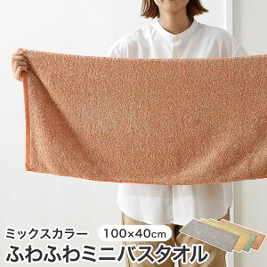 ~joX^I ^In 100×40 R hL z ӂ C oXObY G  킢 O[W IW CG[ sN u[