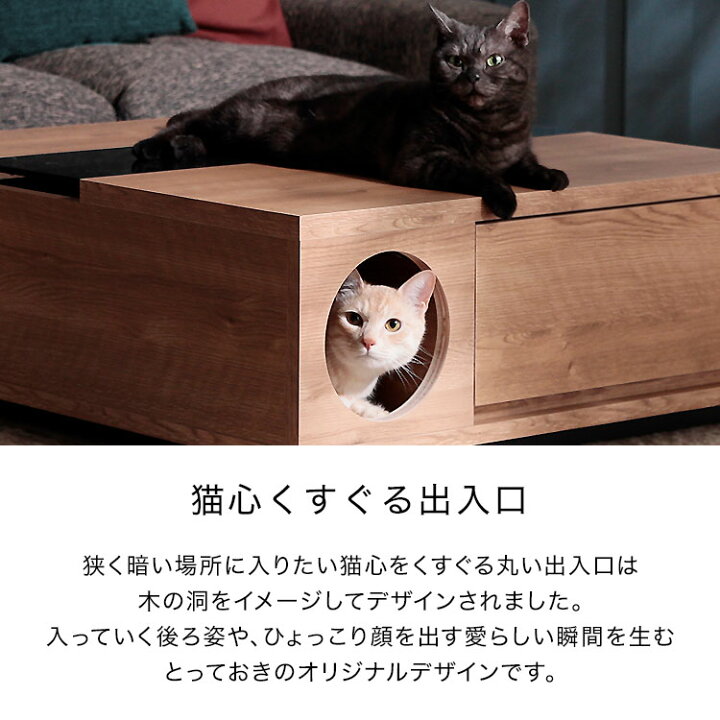 楽天市場】猫 ローテーブル テーブル ペット センターテーブル 