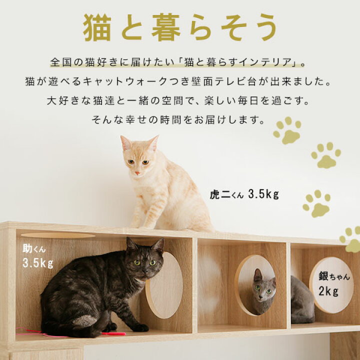 楽天市場 テレビ台 キャットタワー ハイタイプ キャットウォーク 180 猫 壁面収納 ハイタイプ 収納棚 リビング 収納 テレビラック オーディオラック 木製 Tv台 おしゃれ 42インチ 42型 50インチ 50型 ねこ ネコ 新生活 Lowya ロウヤ 楽天市場店