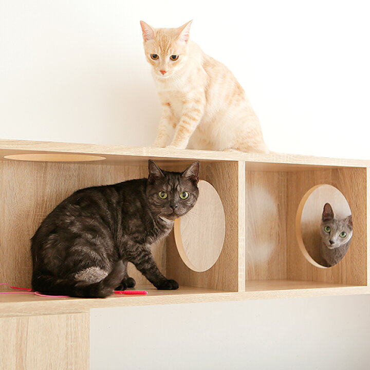 楽天市場】テレビ台 キャットタワー ハイタイプ キャットウォーク 猫 