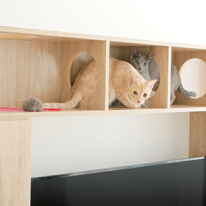 楽天市場】テレビ台 キャットタワー ハイタイプ キャットウォーク 猫 