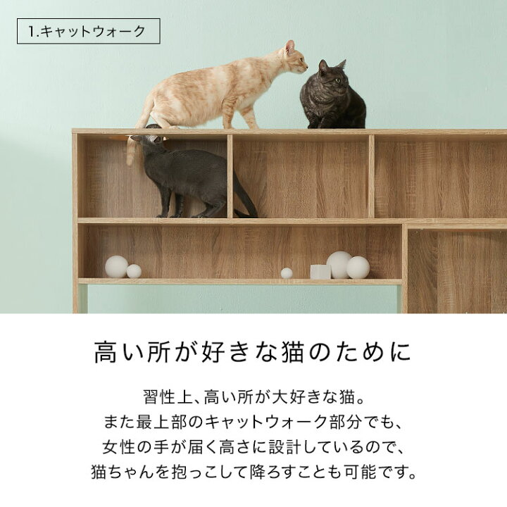 楽天市場】テレビ台 ハイタイプ キャットタワー キャットウォーク 壁面 