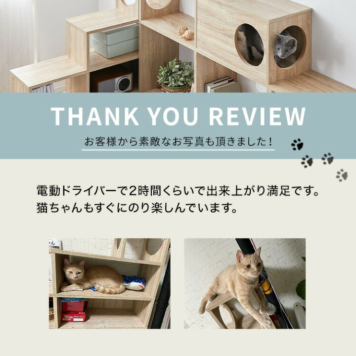 楽天市場】キャットウォーク キャットタワー 棚 壁 収納 猫 家具 木製 