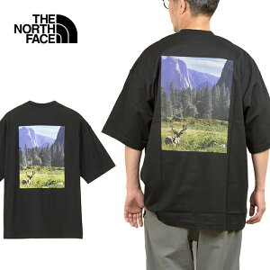 �ySALE�zTHE NORTH FACE �U�E�m�[�X�E�t�F�C�X NT32436 S/S YOSEMITE SCENERY TEE �V���[�g�X���[�u���Z�~�e�V�[�i���[�e�B�[ T�V���c �I�[�K�j�b�N�R�b�g�� ���� UV�J�b�g ���� �g�b�v�X �A�E�g�h�A �����Y