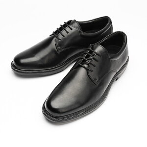 Dr.ASSY [DR6046]hN^[AbV[ ubN Y rWlXV[Y 4E L ₷ ₷ ɂ o ʋ   ʋC v amC JWA tH[} Vv