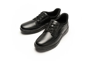 Dr.ASSY [DR8022] hN^[AbV[ ubN Y rWlX JWAV[Y  4E b L ₷ ₷ v amC rWlXV[Y U o s