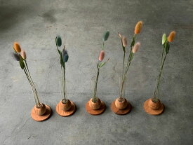 楽天市場 ドライフラワー ラグラス ドライフラワー 花 観葉植物 花 ガーデン Diyの通販