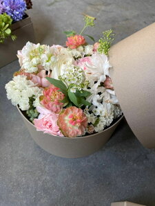 T[NBOX t[AW J[IOK@T[NBOX t[AW@J[IOK t[Mtg AW Mtg v`Mtg CeA t[AWg a v[