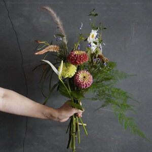 seasonal t[u[PiH̃u[Pj@G߂̃u[P t[Mtg  Mtg  v[g ԑ u[P G a LO j JXj  IV