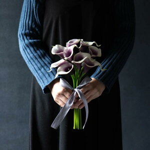 sʉi20%OFFtX^CbVȃJ[u[P@@A[eBtBVt[u[P@ԃu[P@EFfBOu[P@u[P@uC_u[P@tHgEFfBO@OB