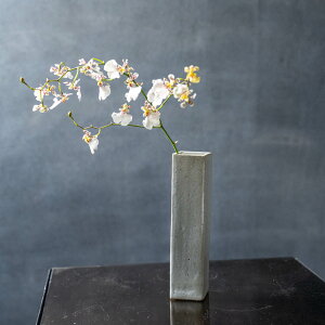 XNtgԕrL/O[@t[x[X@KXx[X@ԕr@Ԋ@֑}@@CeA@ԁ@hCt[