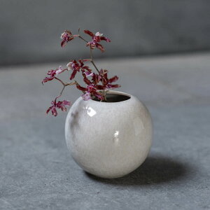 XEhx[XS/@t[x[X@KXx[X@ԕr@Ԋ@֑}@@CeA@ԁ@hCt[