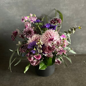 G߂̂ԂŃt[AWg LTCY@t[AWg ̓ v[g Mtg AWg  oXPbgAW j