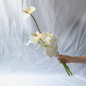 sʉi20%OFFt_ȃVGbg̃zCgu[P@ԃu[P@EFfBOu[P@u[P@uC_u[P@tHgEFfBO@OB@B@@u[P@