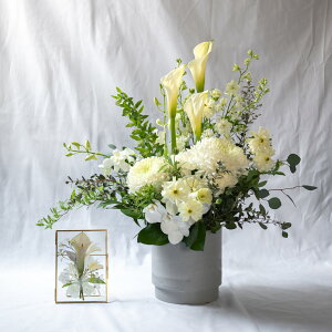 s݁Eptt[lt[AWg  At^[u[P Set   V { AWg ԃAW At^[u[P  vXt[