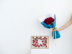 Strawberry Moebe -20{̐ԃou[P & At^[u[P Set-sS/MTCYt At^[u[P v|[Yu[P u[P v[g ԑ  z LO v[g Mtg