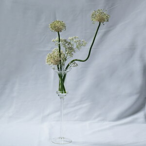 t[x[XɂȂLhX^h@t[x[X ԕr ֑} Lhx[X LhX^h CeA v[g Mtg  I