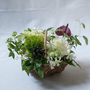 q~pɁrBasketAWgqSEMELTCY炨Iт܂r  {  ~ ~ t[AWg ԃAW t[AW A