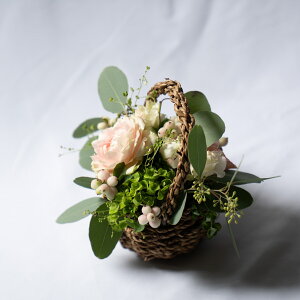 Baskett[AWg mini@t[AWg ̓ v[g Mtg AWg  oXPbgAW j ̓ hV̓ ސEj ]Ej v`Mtg G