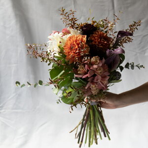 Ĥ܂u[P@ԑ  u[P t[ t[u[P v[g Mtg ʉ ʉԑ j  Ӊ Ǝ  w  JXj aj a LO 