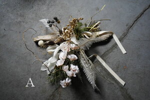 ؂̃NX}XXbO s2ނ炨Iт܂t@XbO NX}X NX}XXbO Ǌ| Ǐ ؃AW XC[gs[ RV_ hCt[ v[g Mt