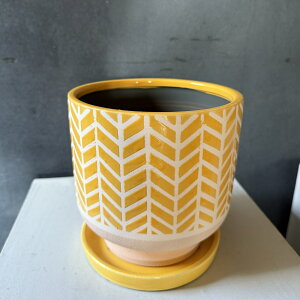 wOCG[L@ Jo[ K[fjO vg|bg AbVOC w{[ ϗtA   k CeA X^CbV i` CG[ v[g Mt