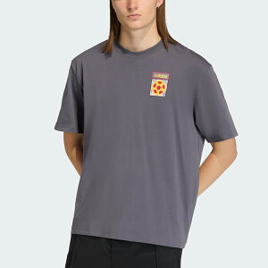 adidas ARCHIVE COUNTRY FLAG T-SHIRT �A�f�B�_�X �A�[�J�C�u �J���g���[ �t���b�O T�V���c �����Y ���f�B�[�X ����T�V���c AURORA ONIX �O���[ KD1429