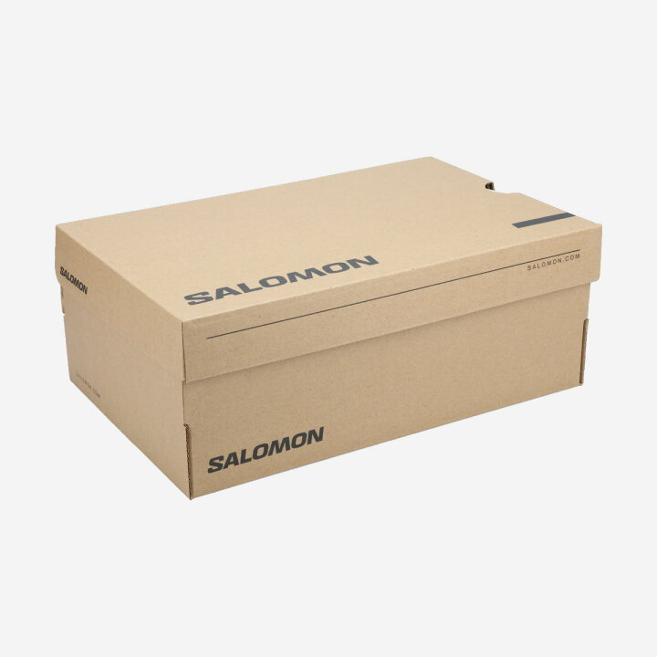 楽天市場】【10%OFF】 SALOMON XT-6 サロモン エックスティー 6 メンズ 
