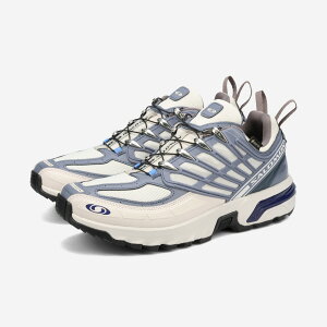 �y20%OFF�z SALOMON ACS PRO GTX �T������ ACS �v�� �S�A�e�b�N�X �����Y �X�j�[�J�[ ���[�J�b�g LUNAR ROCK/GRISAILLE/PLUM KITTEN �O���[ L47866900